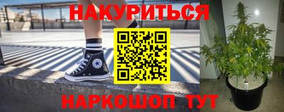 ALPHA PVP Гатчина