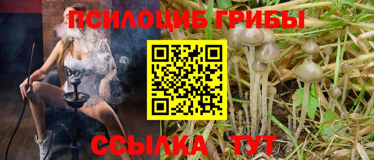 Галлюциногенные грибы Cubensis  Псилоцибиновые грибы MAGIC MUSHROOMS  Верхний Уфалей 