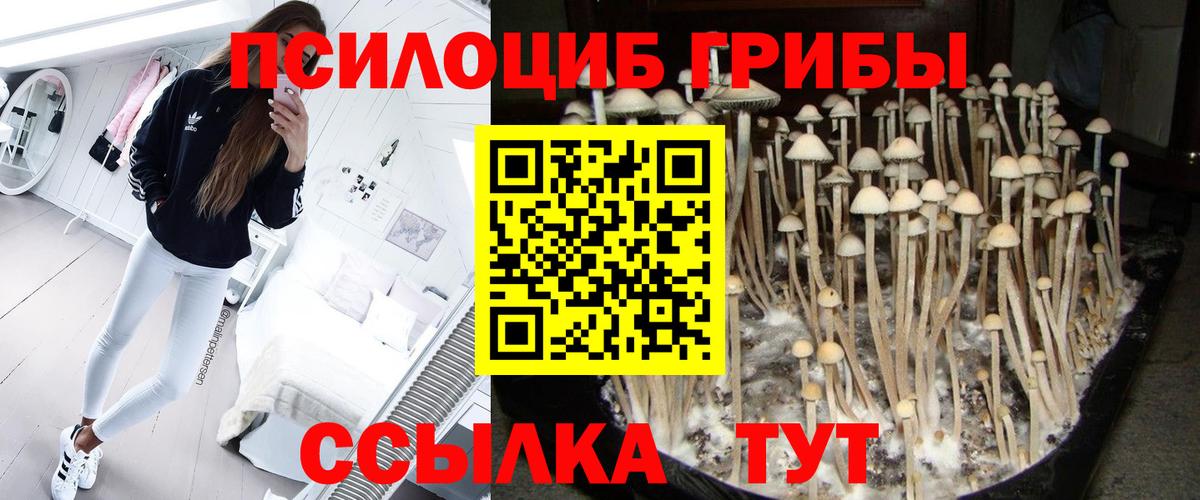 Галлюциногенные грибы Magic Shrooms Верхний Уфалей