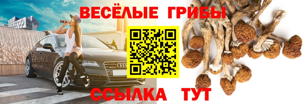 Верхний Уфалей  Галлюциногенные грибы ЛСД  Вход с VPN  наркота  Псилоцибиновые грибы ЛСД 