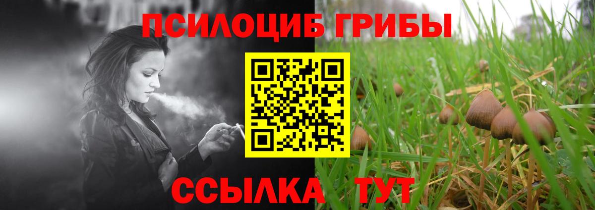 Галлюциногенные грибы GOLDEN TEACHER Верхний Уфалей